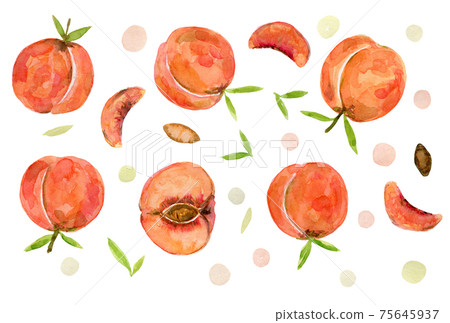 Set of bright watercolor peaches illustration Set of bright watercolor peaches illustration 75645937