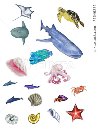 南海生物集 75646285