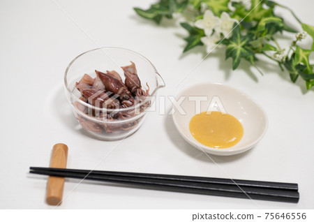 Firefly squid in season in spring 75646556