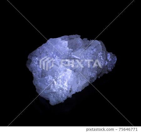 Shiny transparent halite rock salt mineral crystal from Soligorsk, Belarus. A photo isolated on black. Geology mineralogy websites, stone collection catalog, Natural Science museum wall chart 75646771