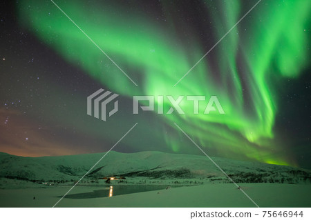 The splendor of the world that I want to convey to children The splendor of the world that I want to convey to children 75646944