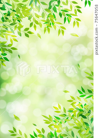 Fresh green leaf background 75647058