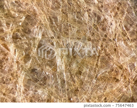 Cardboard micrograph Cardboard micrograph 75647463