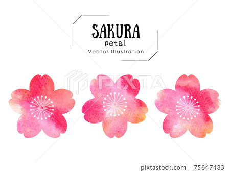 手寫手寫水彩櫻花 75647483