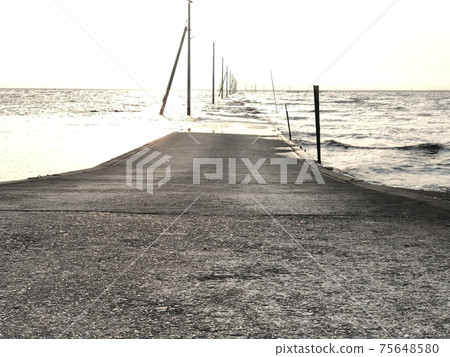 Hatota海底路 Hatota海底路 75648580