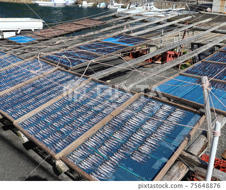 Sun-dried dried fish 75648876