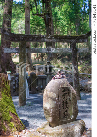 一名女性在To木縣日光市的Ta野神社拜訪 75649141