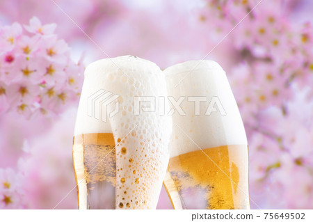 賞櫻花啤酒 75649502