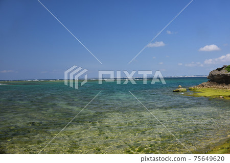 沖繩浦添西海岸卡米吉風光 75649620