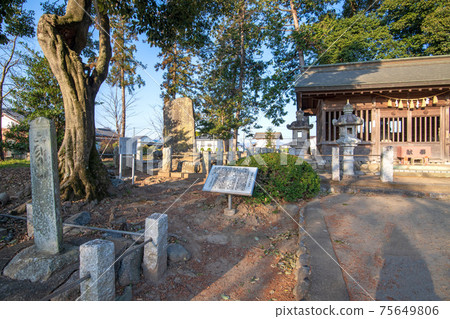 博多山館遺址,深谷市,博多山重田歷史公園 博多山館遺址,深谷市,博多山重田歷史公園 75649806