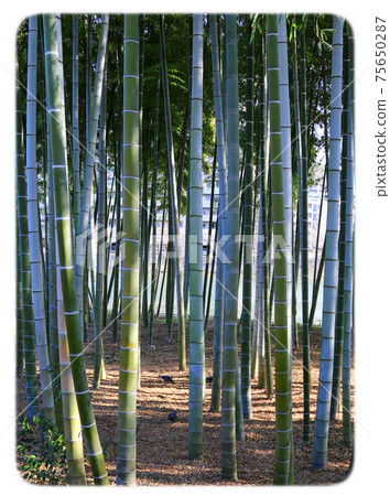 微縮景觀園 75650287