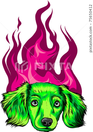 puppy Dog with Flame ornaments vector illustration puppy Dog with Flame ornaments vector illustration 75650412