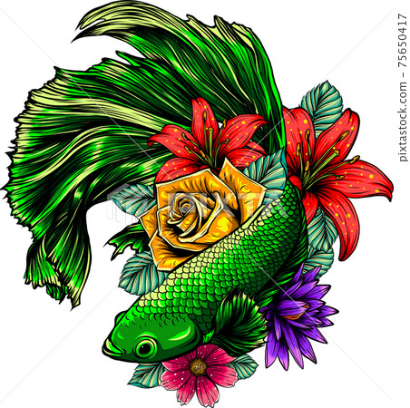 fish betta splendens with flowers vector illustration fish betta splendens with flowers vector illustration 75650417