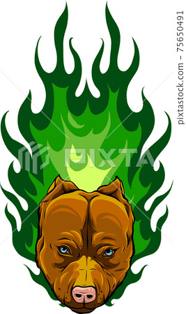 head of Bull Dog with Flame vector head of Bull Dog with Flame vector 75650491