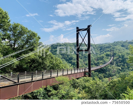 仲夏山區懸索橋 75650500