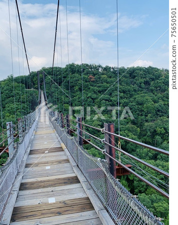 仲夏山區懸索橋 75650501