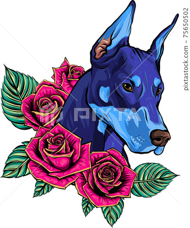 vector Dobermann dog face with red roses 75650502