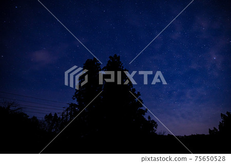 During the camp, I was able to see the starry sky at night During the camp, I was able to see the starry sky at night 75650528