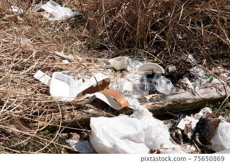 Illegal dumped garbage Yamanaka 75650869