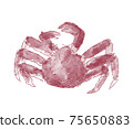 Clipboard illustration Clipboard illustration 75650883