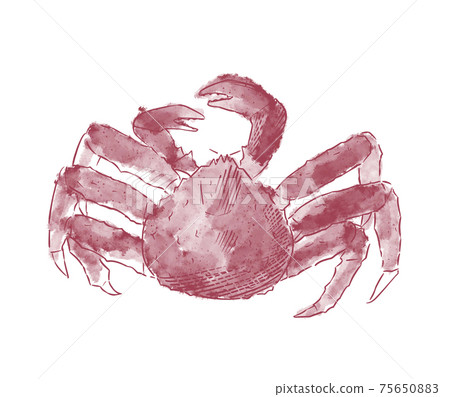 Clipboard illustration Clipboard illustration 75650883