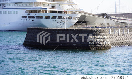 Yokohama Port, Elephant Nose Park and Asuka II 75650925