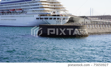 Yokohama Port, Elephant Nose Park and Asuka II 75650927