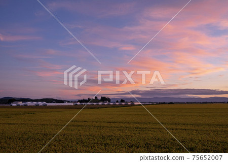 Autumn countryside evening view 75652007