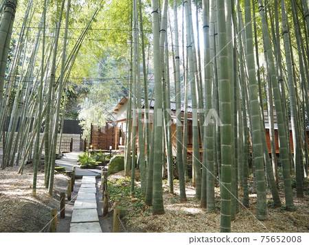 擁有美麗的竹林花園的法興寺 75652008