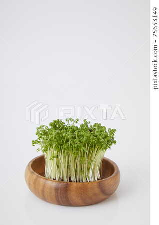 Cress sprout 75653149