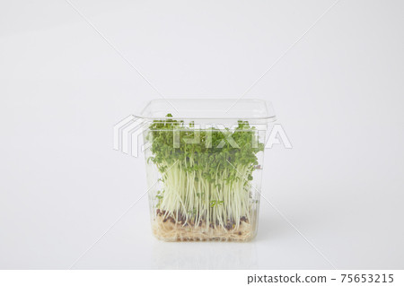 Cress sprout 75653215