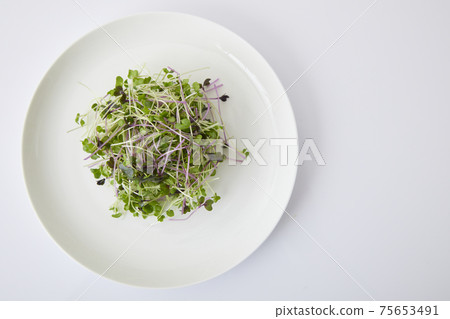 豆芽沙拉 75653491