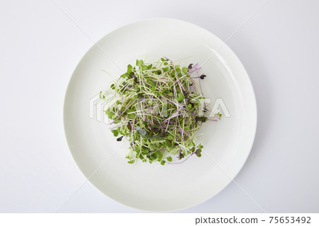 豆芽沙拉 75653492