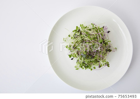 豆芽沙拉 75653493