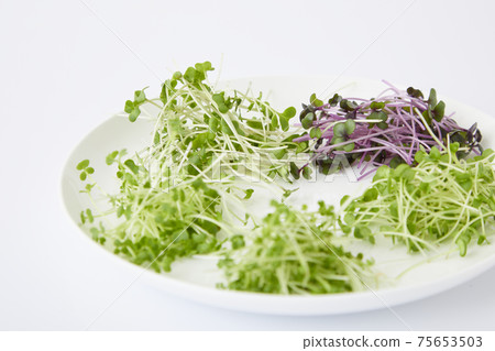 豆芽沙拉 75653503