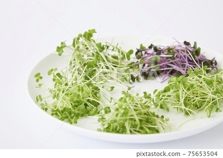 豆芽沙拉 75653504