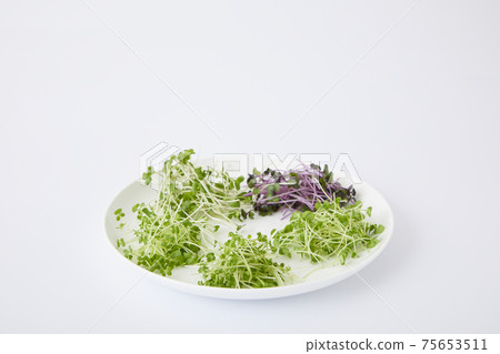 豆芽沙拉 75653511