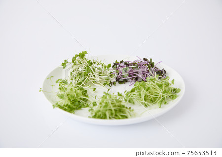 Sprout salad 75653513