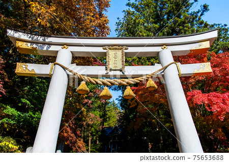 Sa玉縣長ator町霍多山神社在秋天的顏色（Nitotorii） 75653688
