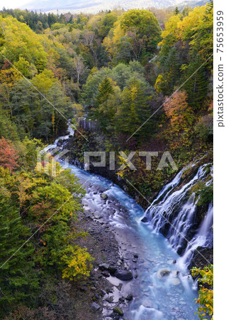 Shirahige Waterfall in Autumn Shirahige Waterfall in Autumn 75653959