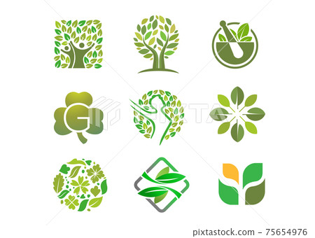 Set of People Tree Logo and Icon Template, Green logo vector, Health tree logo 75654976
