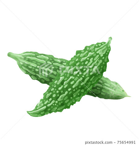 Two bitter gourds with a watercolor touch 75654991