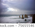 coast 75655546