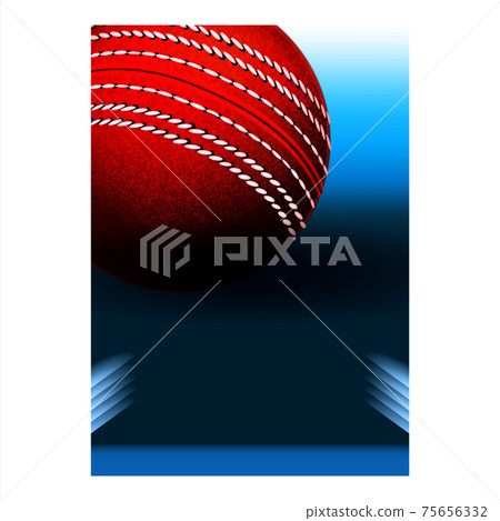 Cricket Resting Sport Leaflet Promo Poster Vector 75656332