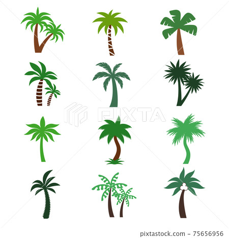 Color palm trees silhouettes 75656956