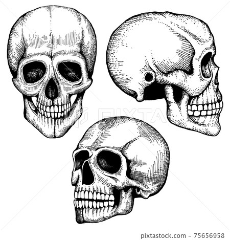 Hand drawn death scary human skulls collection Hand drawn death scary human skulls collection 75656958