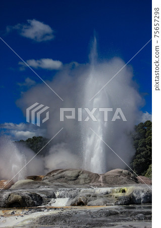 新西蘭壯麗的景觀羅托魯瓦間歇泉 75657298