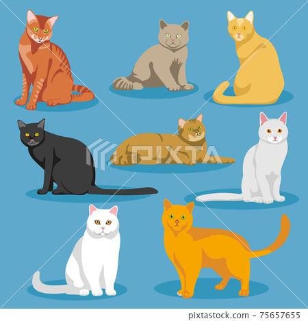 Cute cartoon kitties or cats set 75657655