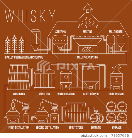 Whiskey production process infographic template 75657656