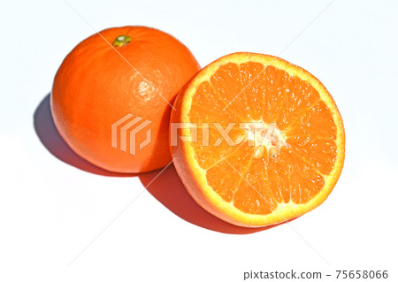 Sun Queen (Seminole) Sun Queen (Seminole) 75658066